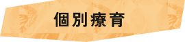 個別療育